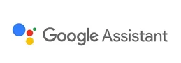 google-assistant.png.webp